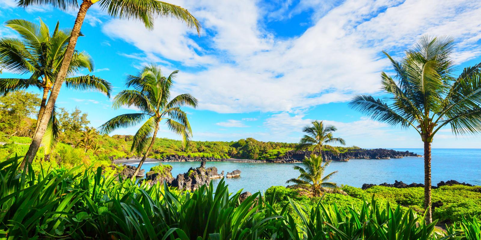 10 Magical Hidden Gems in Maui, Hawaii Travel and Blossom