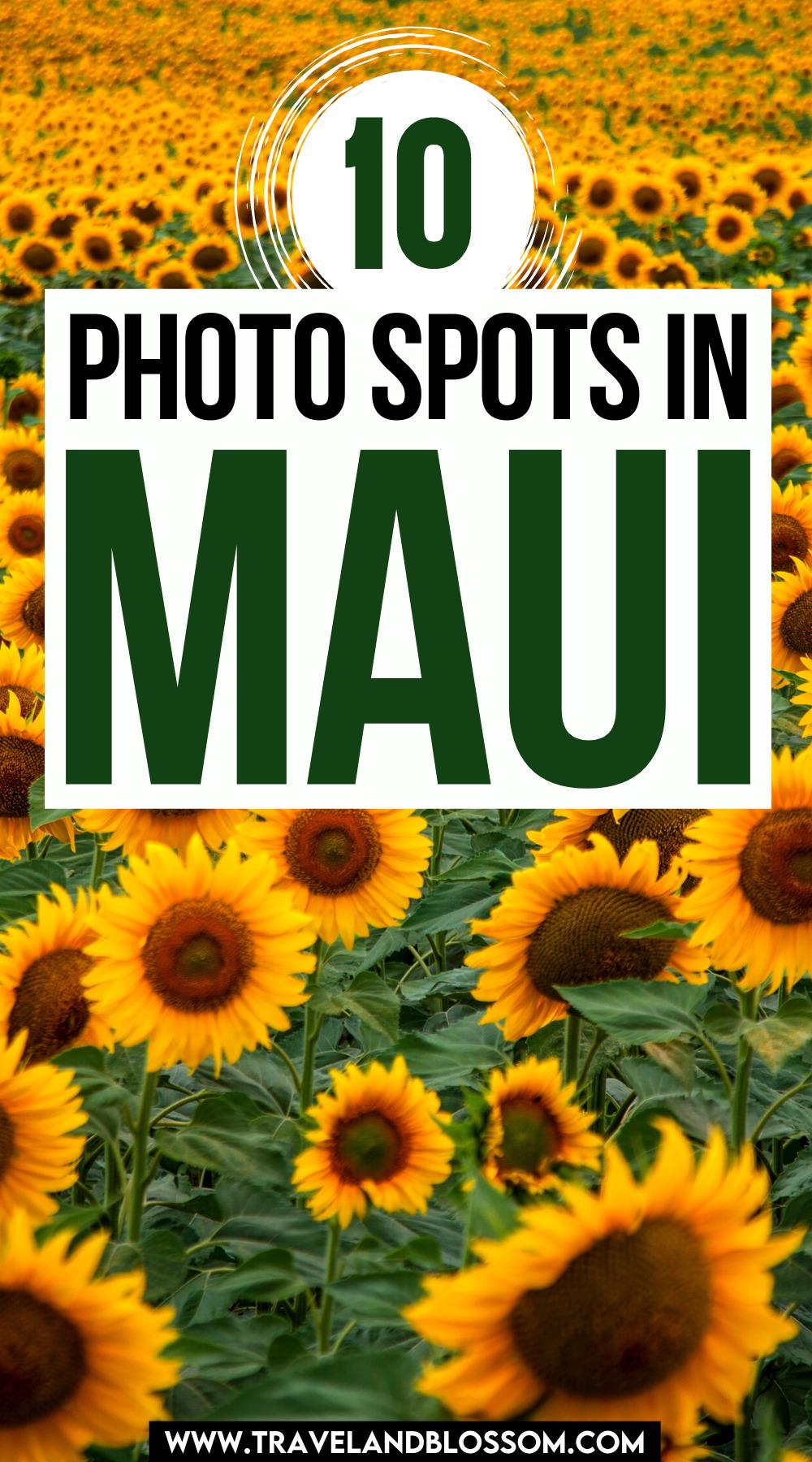 10 Incredible Maui Instagram Spots