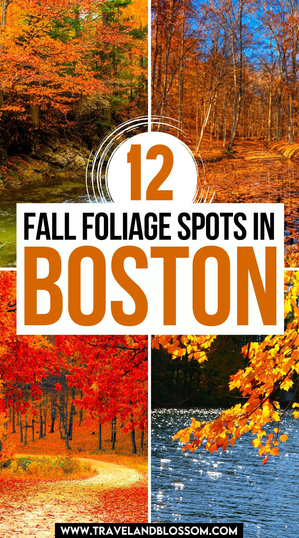 12 Best Places for Fall Foliage in Boston