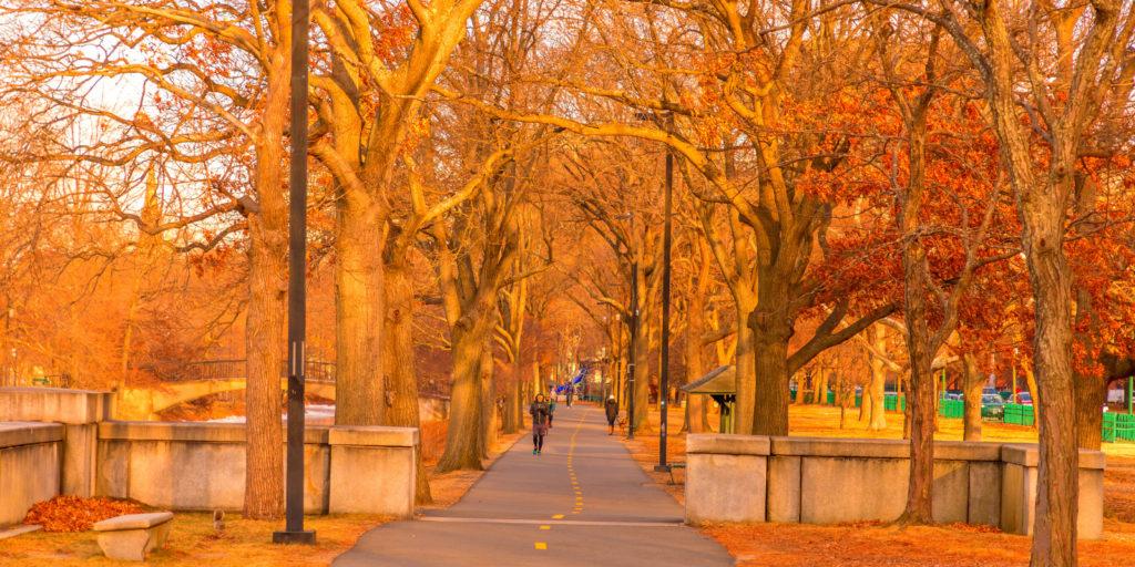 fall foliage in boston