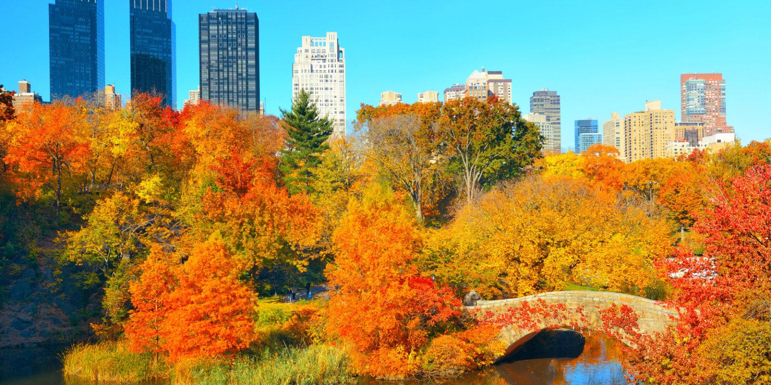 15 Incredible Things to Do for Fall in NYC Travel and Blossom