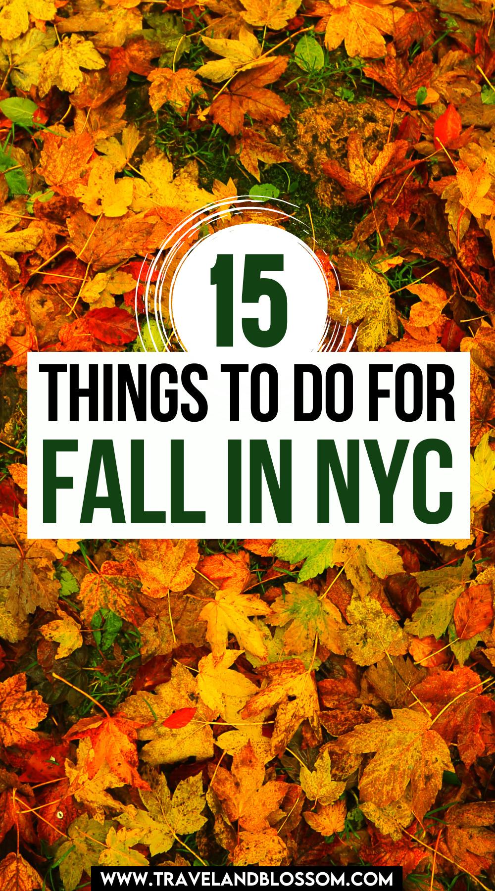 15 Incredible Things to Do for Fall in NYC
