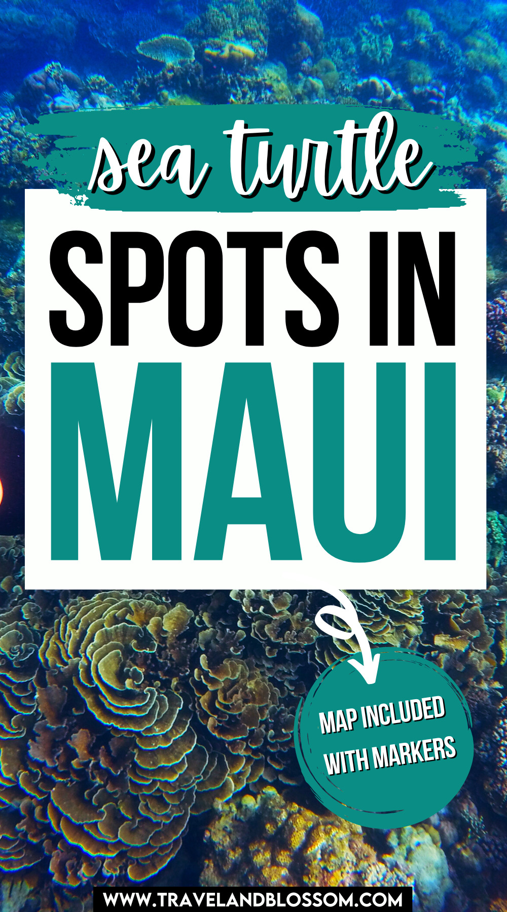 The 12 Best Places to See Sea Turtles in Maui