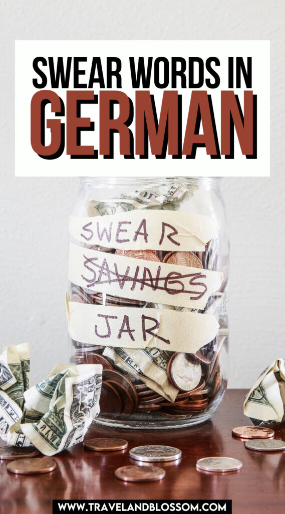 german swear words