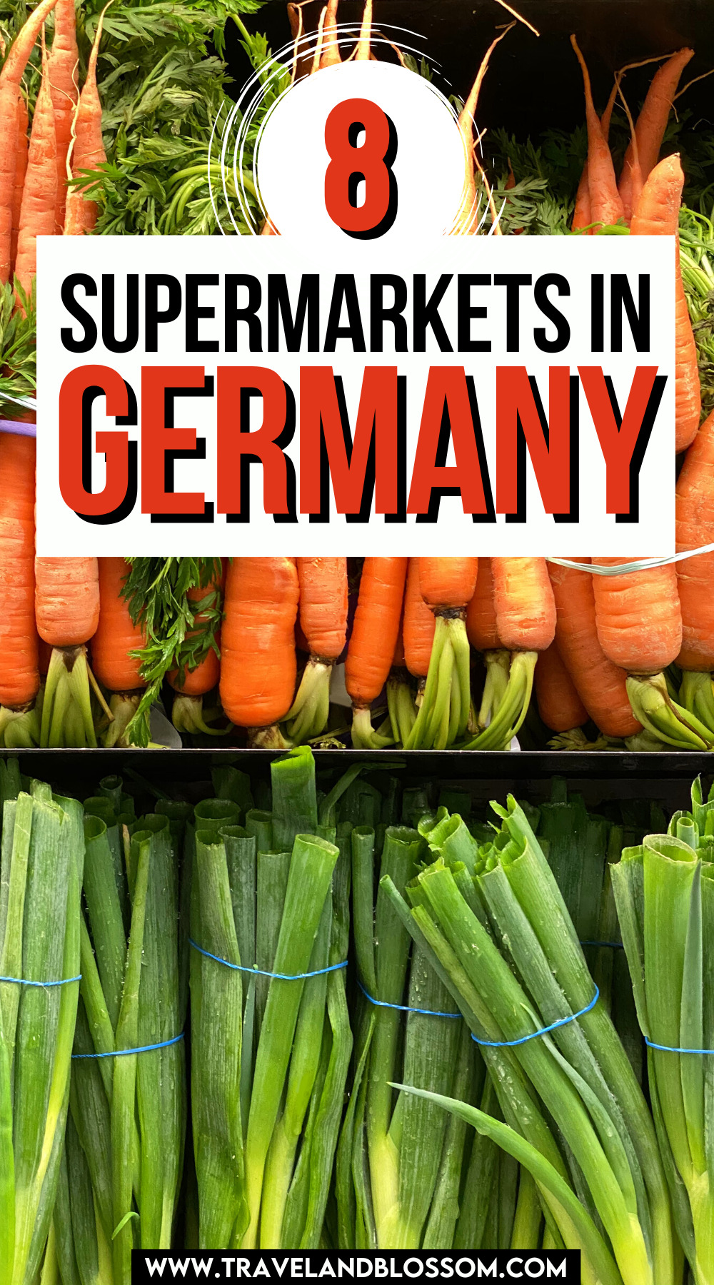 8 Top Supermarkets in Germany You Need to Visit