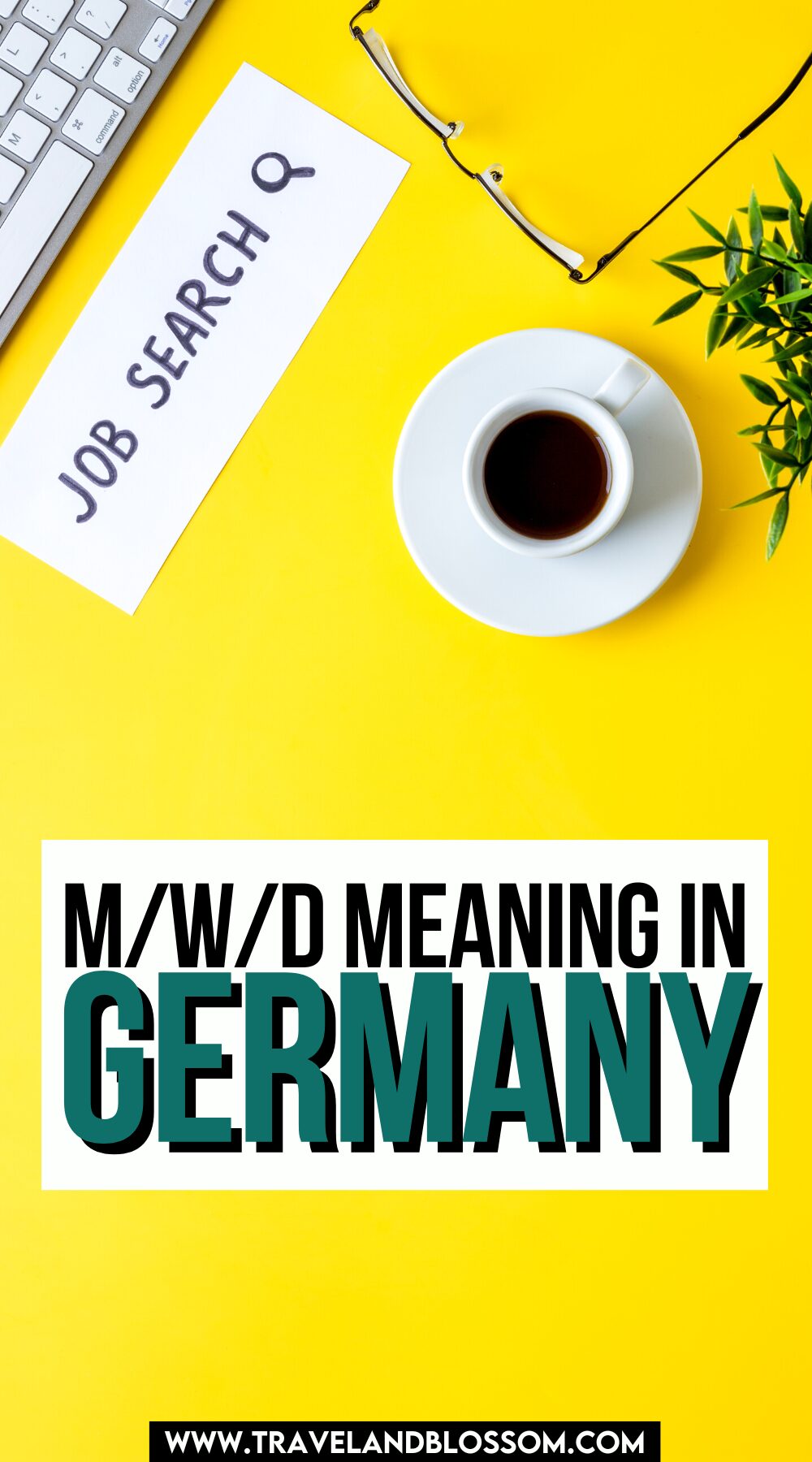 The M/W/D Meaning in German Job Postings