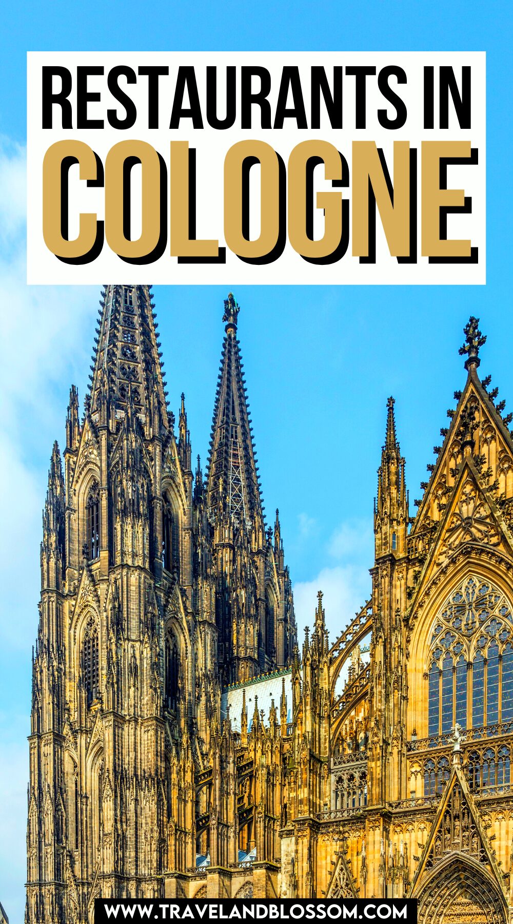 Where To Find the Best Restaurants in Cologne Germany